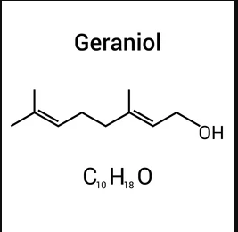 Geraniol 98/60